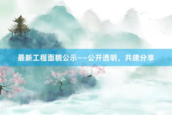 最新工程面貌公示——公开透明，共建分享